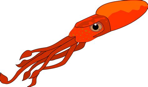 Free Squid Clipart, Download Free Squid Clipart png images, Free ClipArts on Clipart Library