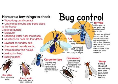 How to control bugs