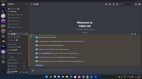 Manage discord as a discord moderator for your server by Sampreeth003 | Fiverr