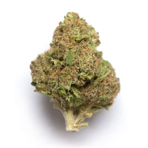 Member Berry Strain - Indica Dominant - Collective Premium Cannabis