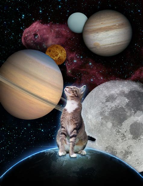 Space Cat! by Alex321432 on deviantART