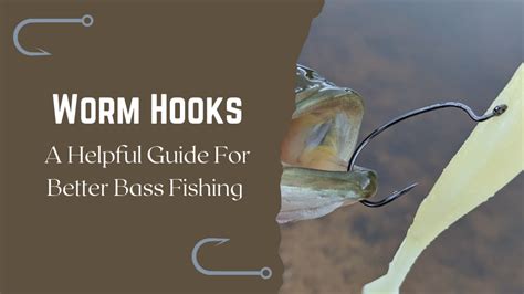 Worm Hooks: A Helpful Guide For Better Bass Fishing