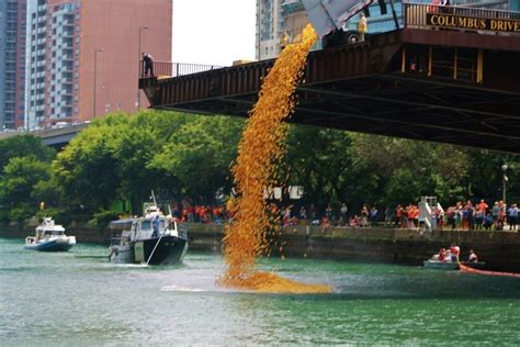 Why You Need to See the Windy City Rubber Ducky Derby | UrbanMatter