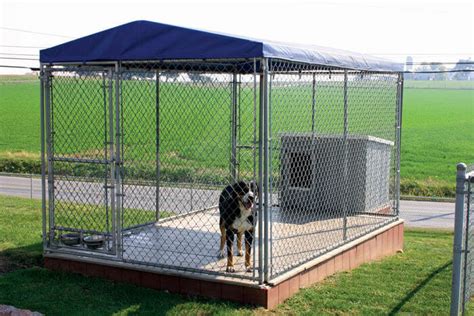 Chain-Link Wire Dog Kennels: Indoor & Outdoor Confinement for Your Dogs