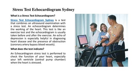 PPT - What Is A Stress Test Echocardiogram Sydney And Its Procedure ...