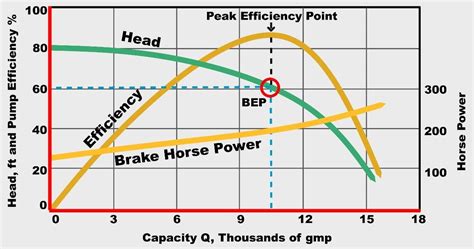 Pump Performance Curve - Chemical Engineering World