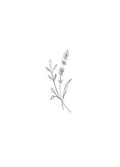 45+ Simple Flower Tattoo Sketch | Rofgede