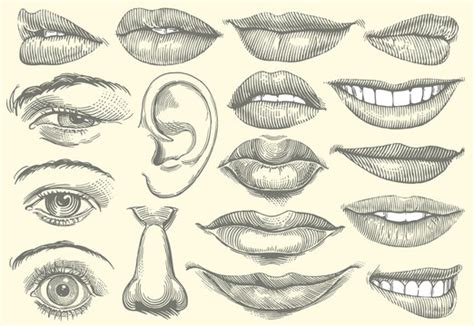 Cool Drawings Of Lips