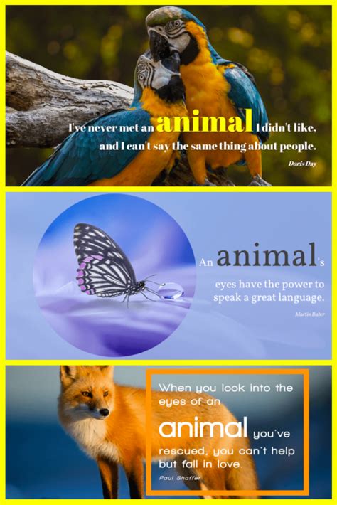 10+ Best Animal Powerpoint Templates for 2021: Free and Premium