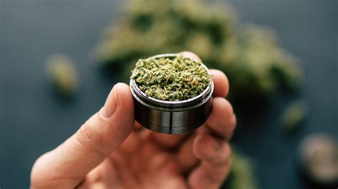 The Best Electric Weed Grinders Of 2022 | Kushfly Weed Delivery