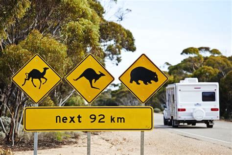 10 of the best road trips in Australia - Lonely Planet