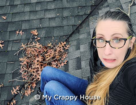 How to Climb Up on the Roof When You’re Terrified of Heights | My Crappy House