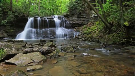 10 Best State Parks in West Virginia - NewHomeSource