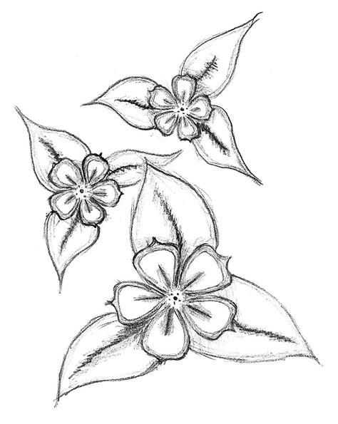 step by step easy flower drawing - Clip Art Library