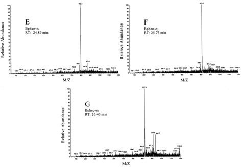 Mass spectra of bacteriochlorophyll-e, bacteriopheophytin-e and other... | Download Scientific ...