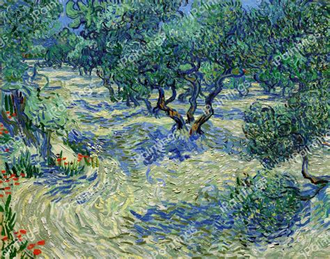 Olive Orchard Painting by Vincent Van Gogh Reproduction | iPaintings.com