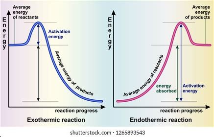 Endothermic And Exothermic Reaction Graph