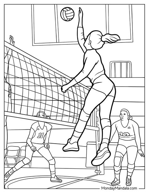 18 Volleyball Coloring Pages (Free PDF Printables)