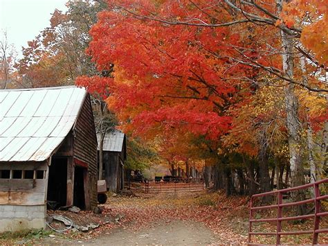 Autumn in Vermont