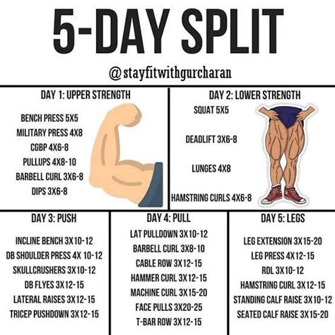 5 Day Split Workout Routine for Gaining Muscle and Strength