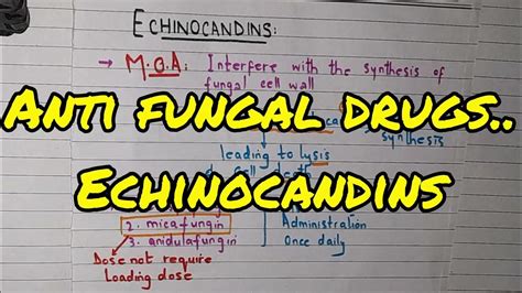 Echinocandins | Antifungal Agents | Pharmacology | - YouTube