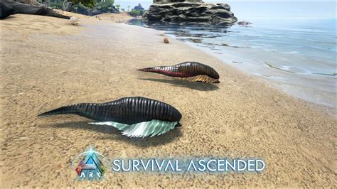 Ark Survival Ascended Leech explained: location, uses, how to remove, and more