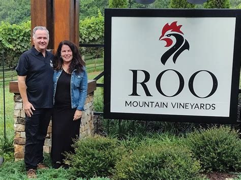 Roo Mountain Vineyards offering wine, cider — and a spectacular view | Times-Courier, Ellijay ...