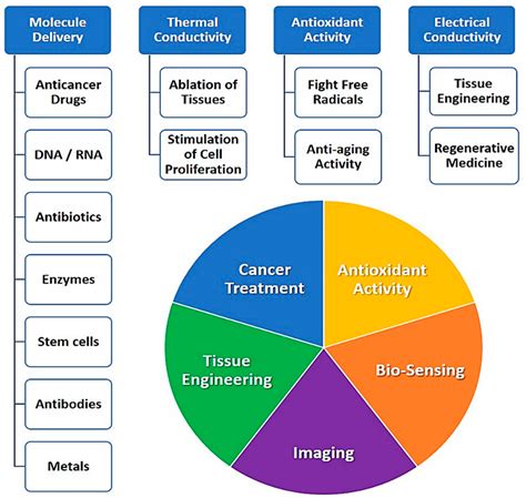 C | Free Full-Text | The Advances in Biomedical Applications of Carbon ...