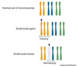 Aneuploidy: Definition, Types, Causes, and Examples