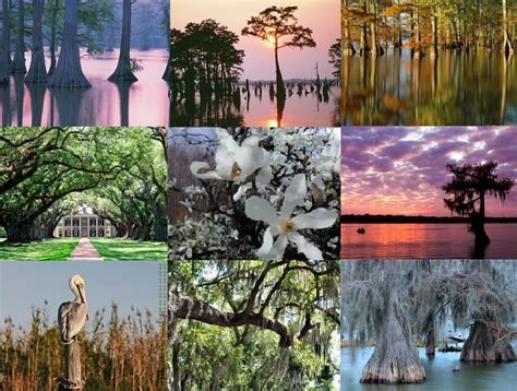 Louisiana - Alchetron, The Free Social Encyclopedia