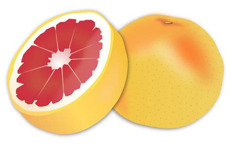 Clipart - Grapefruit