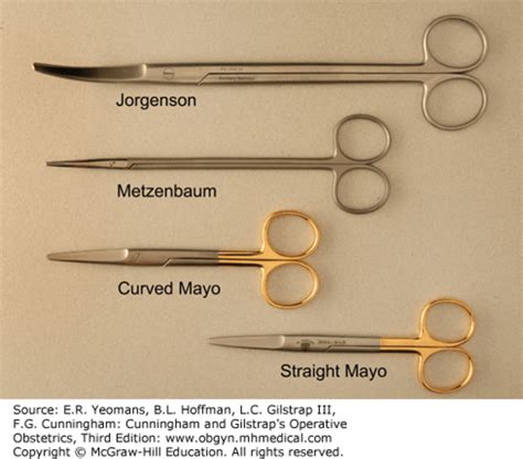 Basic Needed Surgical Instruments - HubPages