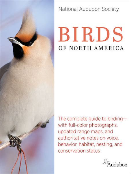 National Audubon Society Birds of North America – The Well-read Naturalist