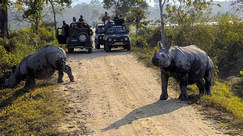 Kaziranga National Park - History, Location, Details, Ticket Price, Timings | Adotrip