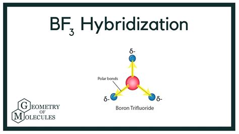 Hybridization of BF3 (Boron trifluoride) - YouTube