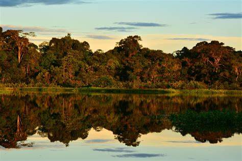 Yasuni National Park - Bezienswaardigheden Ecuador