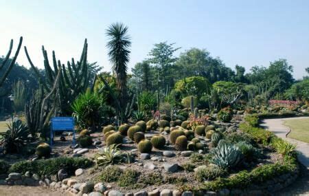 Chandigarh Botanical Garden And Nature Park, Chandigarh | Ticket Price ...