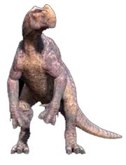 Kron | Dinosaur Wiki | FANDOM powered by Wikia