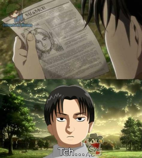 Levi Meme | Attack on titan anime, Attack on titan, Attack on titan funny