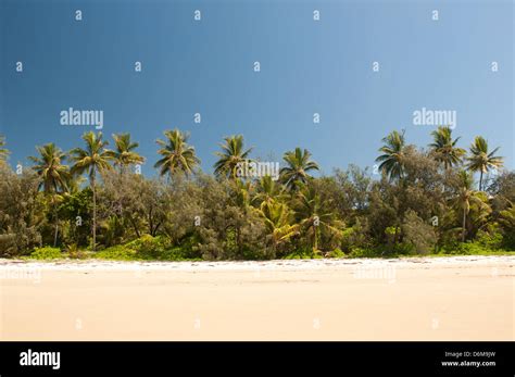 beach at Port Douglas, Far North Queensland, Australia Stock Photo - Alamy