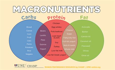 Macronutrients 101 | HPRC