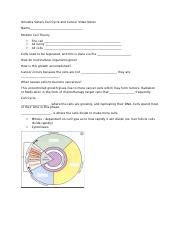 Amoeba Sisters Cell Cycle and Cancer Video Notes.docx - Amoeba Sisters Cell Cycle and Cancer ...