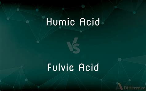 Humic Acid vs. Fulvic Acid — What’s the Difference?