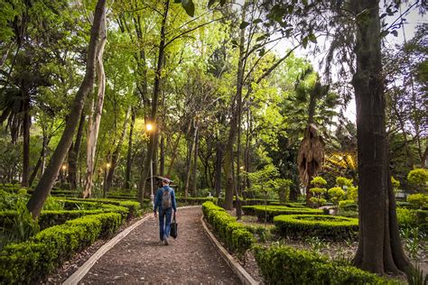 The 6 best parks in Mexico City - Lonely Planet