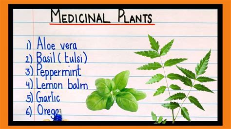 Medicinal Plants And Their Botanical Names at Delores Isaac blog