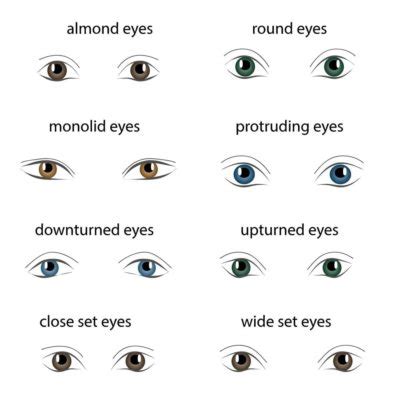 8 Different Types of Eye Shapes - Dontly.ME – Images Collections