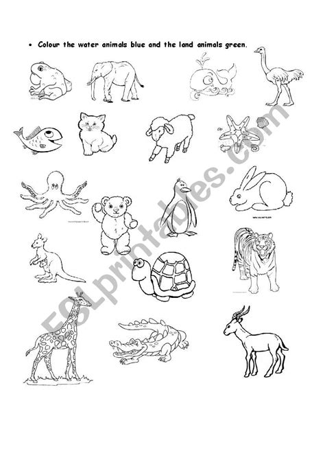 water and land animals - ESL worksheet by Tahani1967