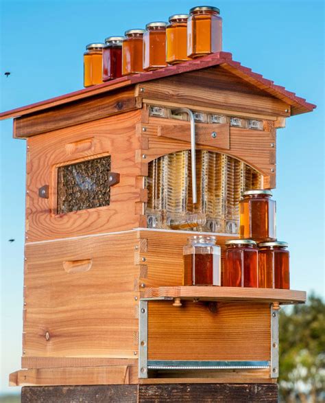 Coolest Beehive- Yes you should do it | Bee keeping, Backyard ...