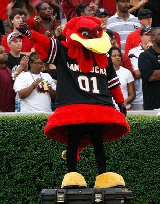 COCKY SOUTH CAROLINA MASCOT | South carolina gamecocks, South carolina ...