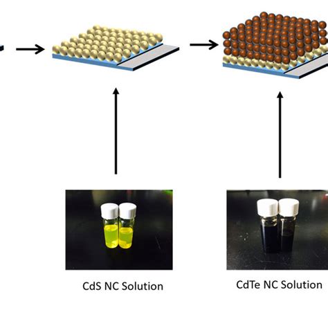 Polycrystalline CdTe solar cell device structure. | Download Scientific ...